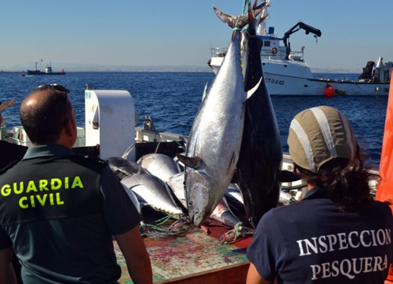 Pruebas Físicas de Acceso Oposiciones Inspector Pesca Aduanas Forestal SAMUR 1